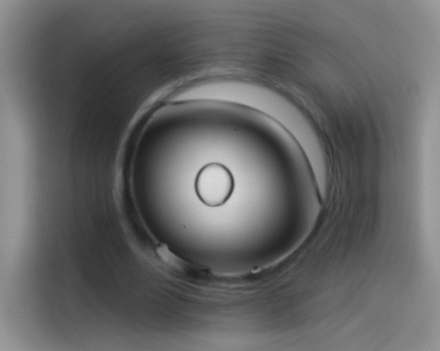 X0000114070488200910131209