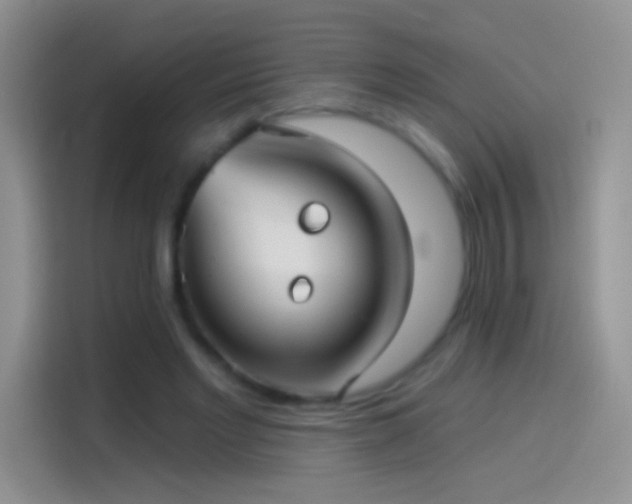 X0000114070493200910131209