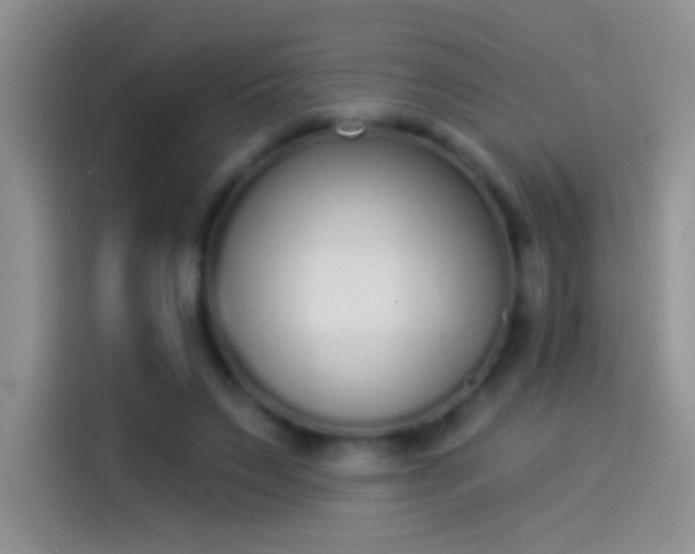 X0000114070495200910131209