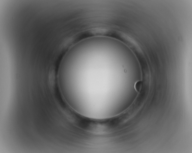 X0000114070498200910131209