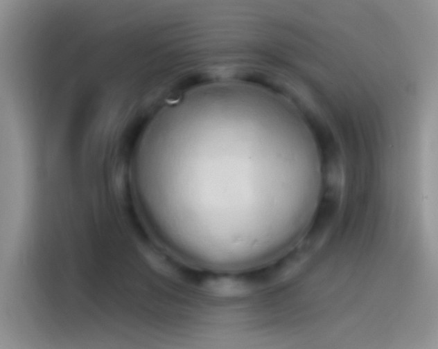 X0000114070503200910131209