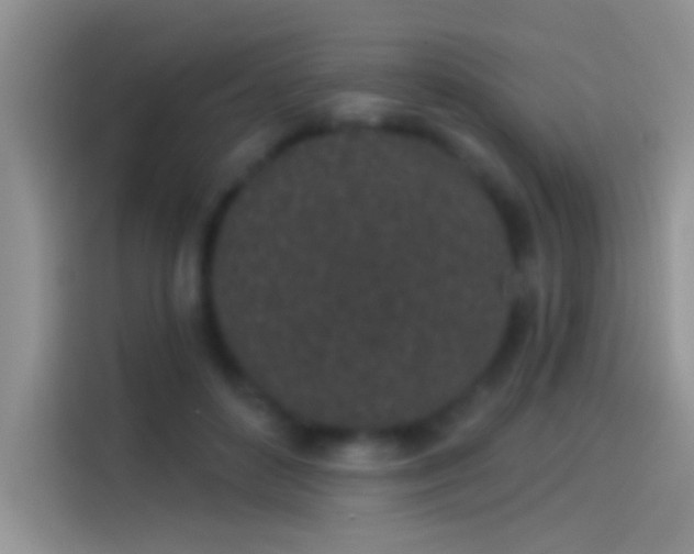 X0000114070504200910131209