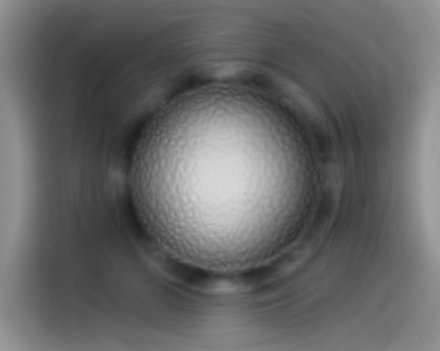 X0000114070510200910131209