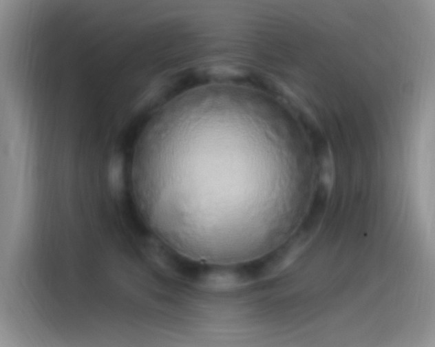 X0000114070519200910131209