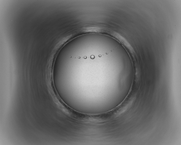 X0000114070529200910131208