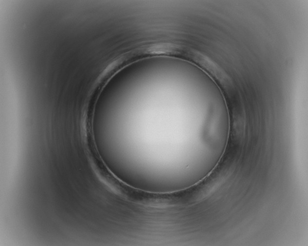 X0000114070530200910131208