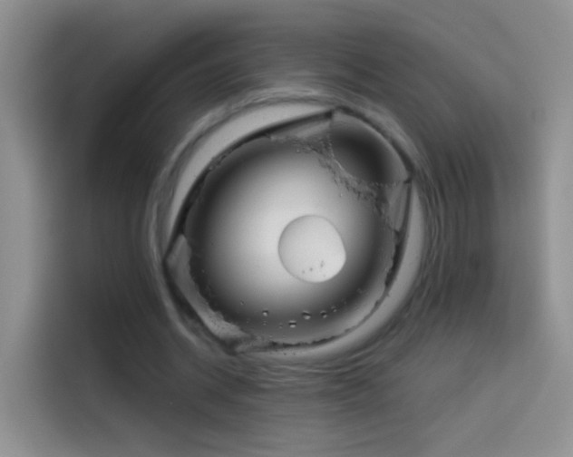 X0000114070534200910131208