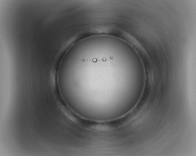 X0000114070537200910131208