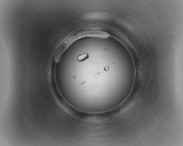 X0000114070538200910131208