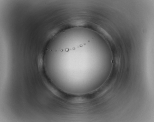 X0000114070541200910131208