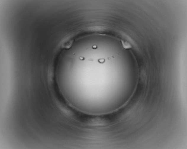 X0000114070544200910131208