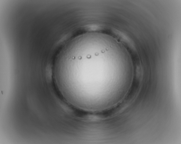 X0000114070545200910131208