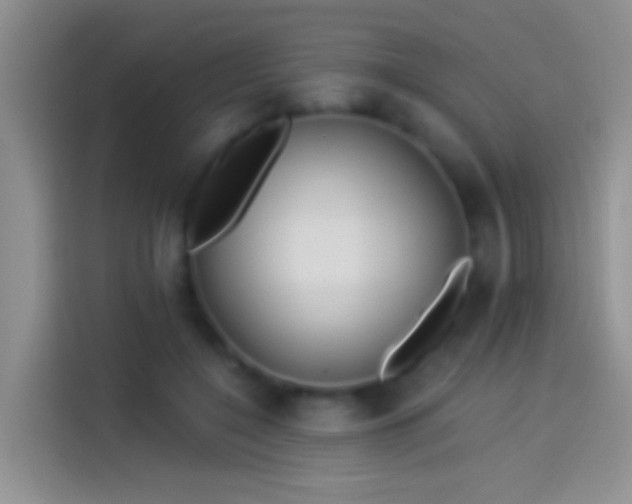 X0000114070548200910131208