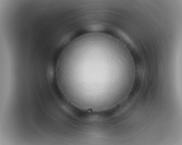 X0000114070549200910131208