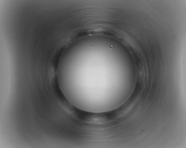 X0000114070555200910131208