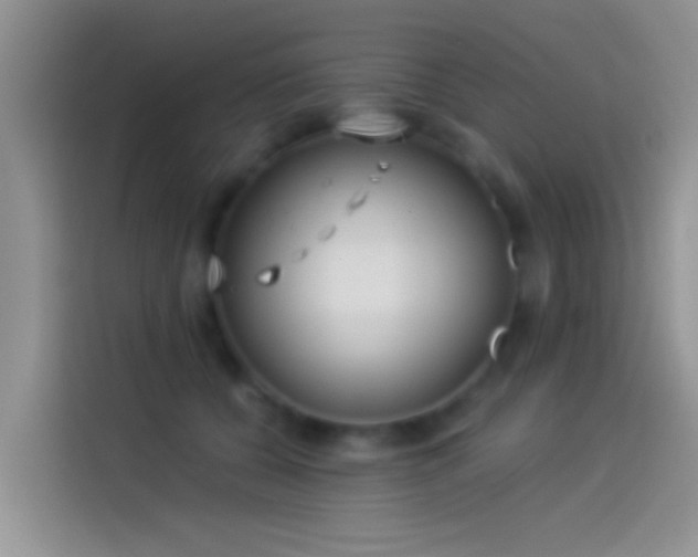 X0000114070560200910131208