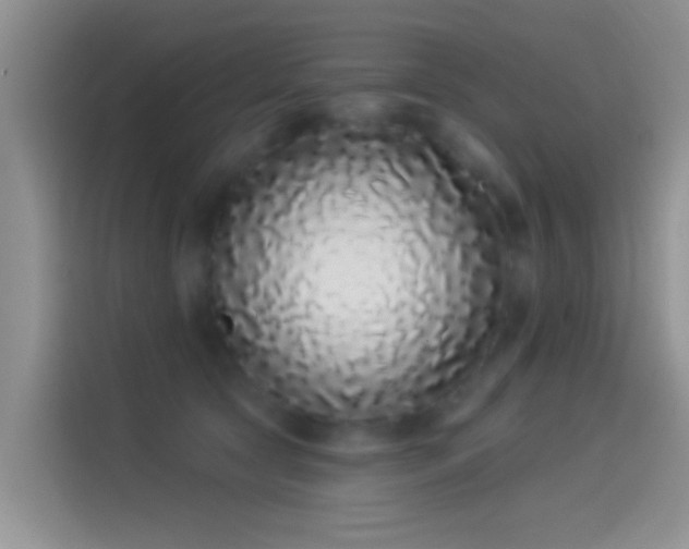 X0000114070561200910131208