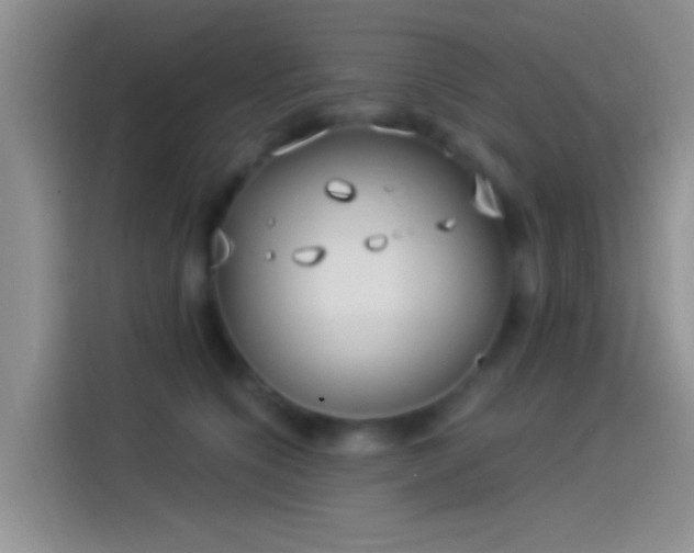 X0000114070564200910131208