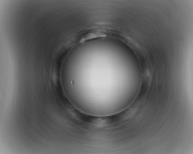 X0000114070566200910131208