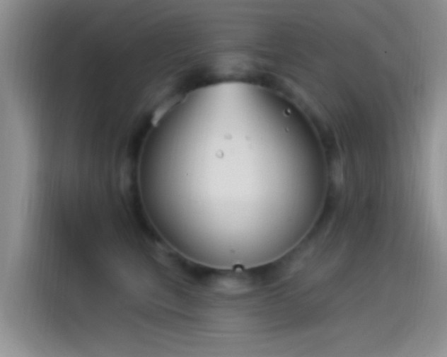 X0000114070567200910131209