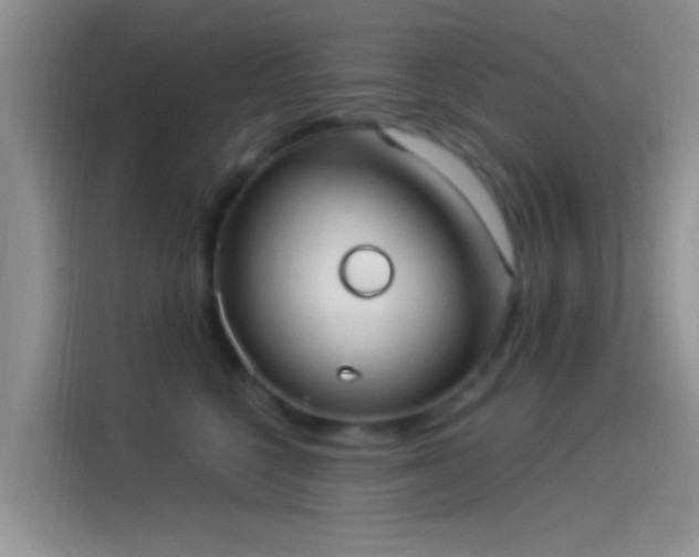 X0000114070568200910131209