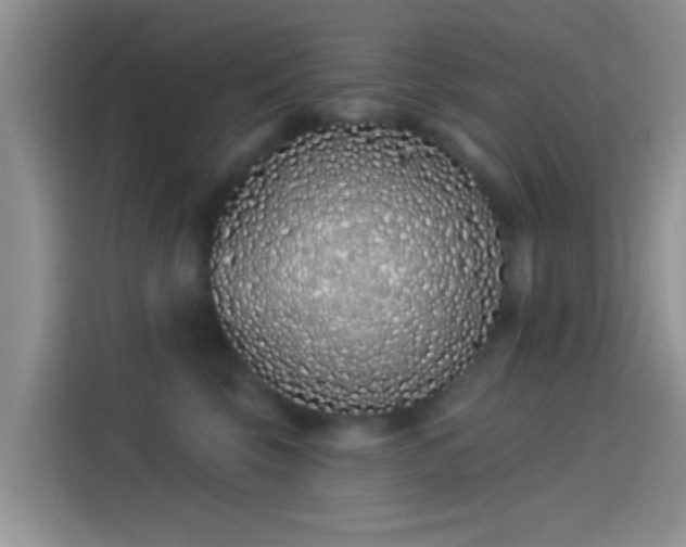 X0000114070569200910131209