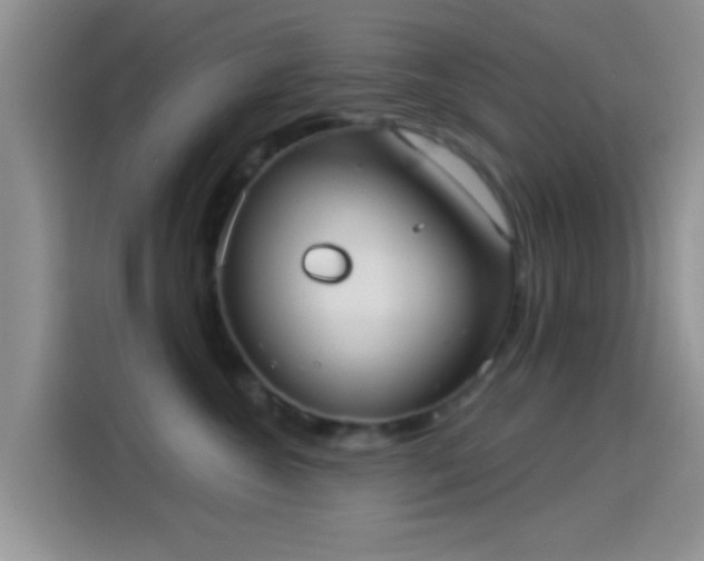 X0000114070572200910131209