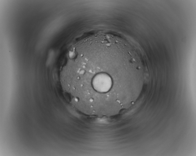 X0000114070573200910131209