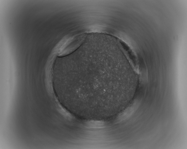 X0000114070577200910131208