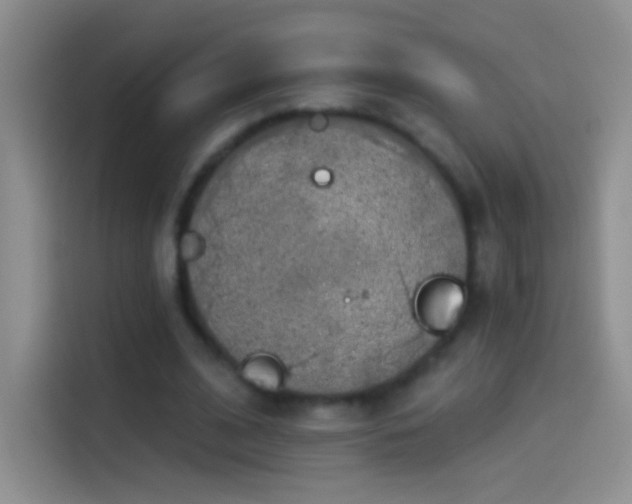 X0000114070584200910131208