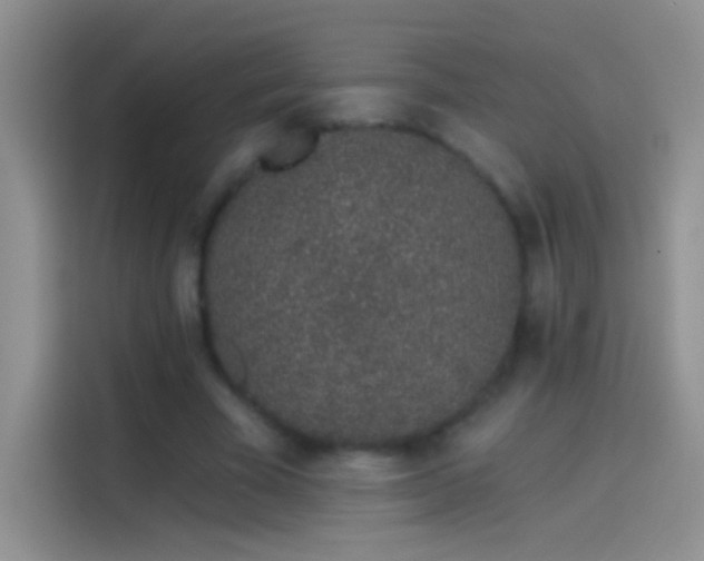 X0000114070585200910131208