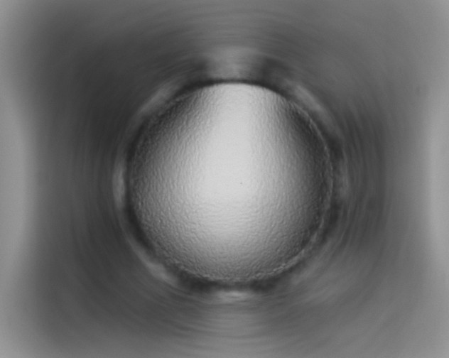 X0000114070586200910131208