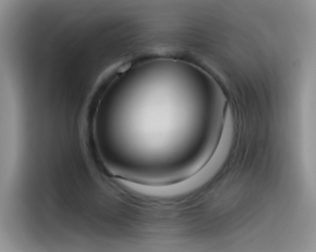 X0000114070587200910131208