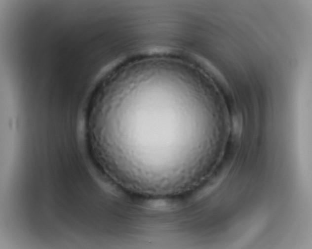 X0000114070588200910131208