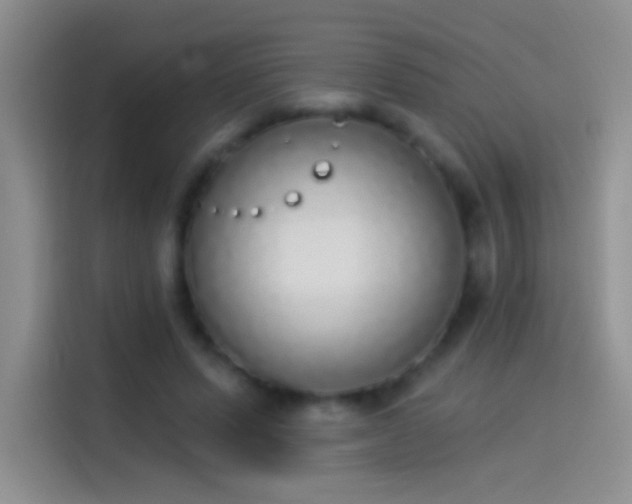 X0000114070591200910131208