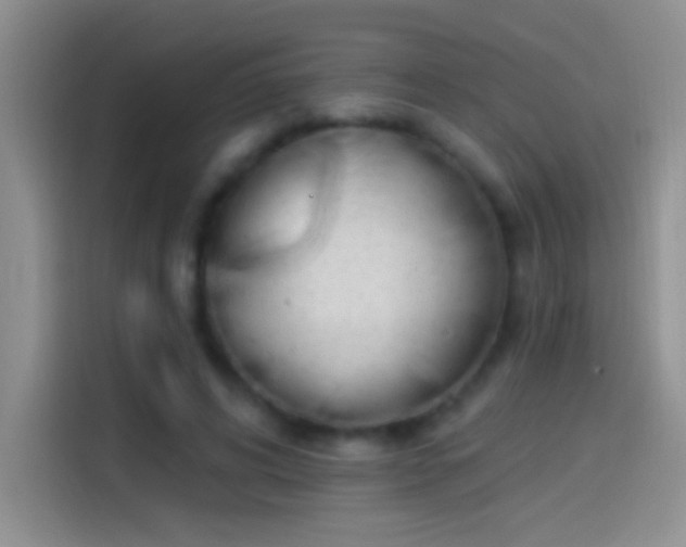 X0000114070592200910131208