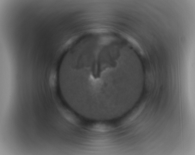 X0000114070596200910131208