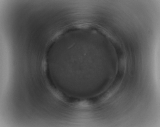 X0000114070600200910131208