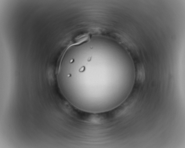 X0000114070616200910131207