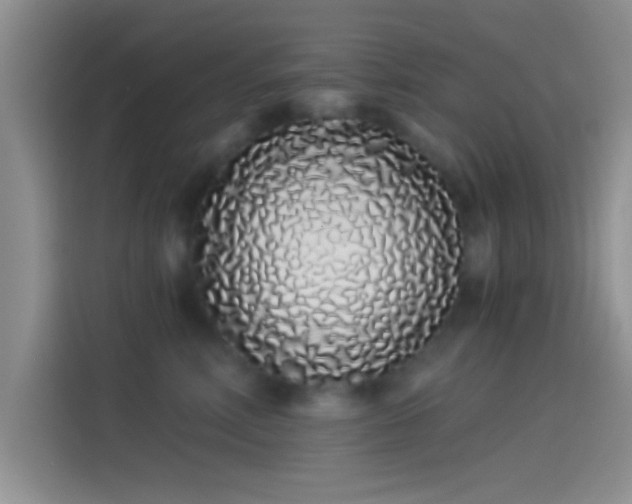 X0000114070618200910131207