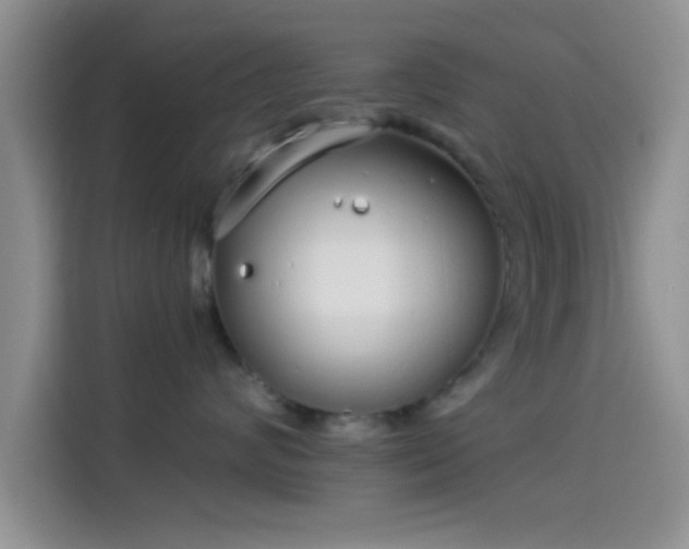 X0000114070624200910131207