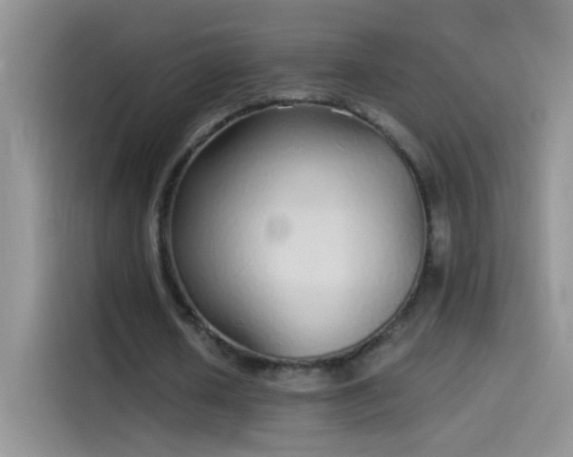 X0000114070626200910131207