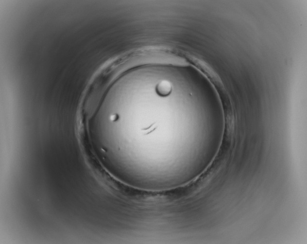 X0000114070628200910131207