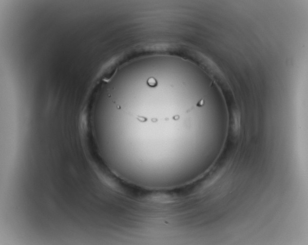 X0000114070636200910131207