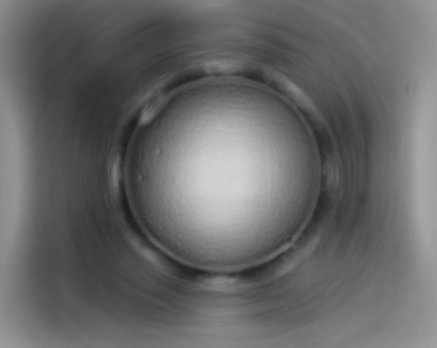 X0000114070637200910131207