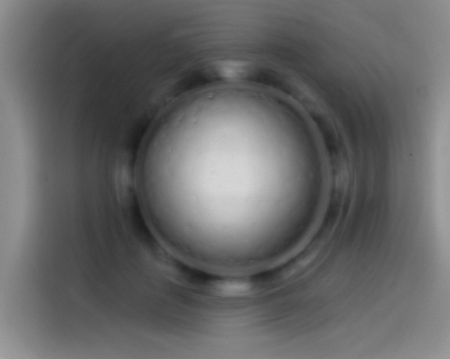 X0000114070651200910131207