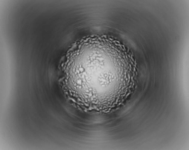 X0000114070659200910131207