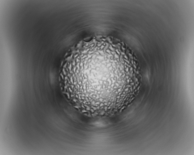 X0000114070663200910131207