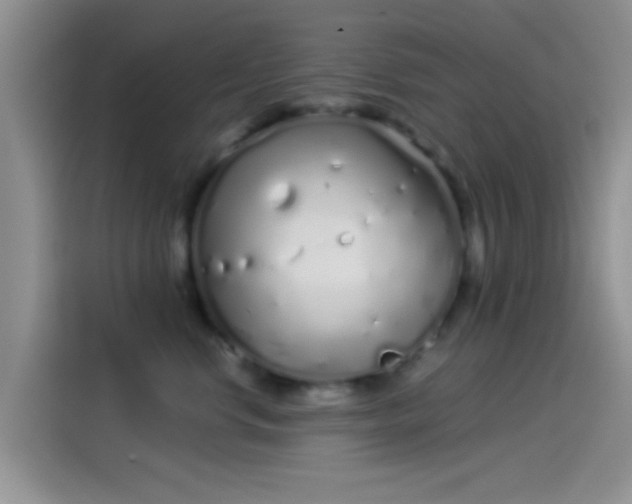 X0000114070668200910131207