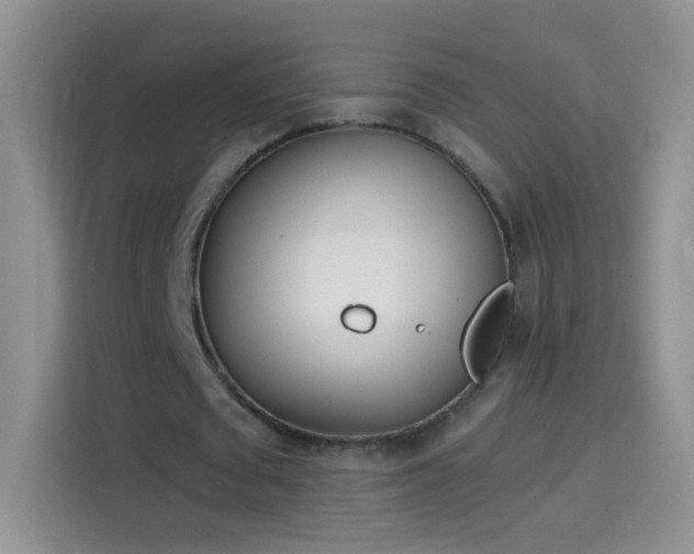 X0000114070673200910131207